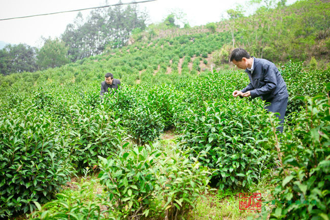 2015092609464012829.jpg 2015092609464012829.jpg