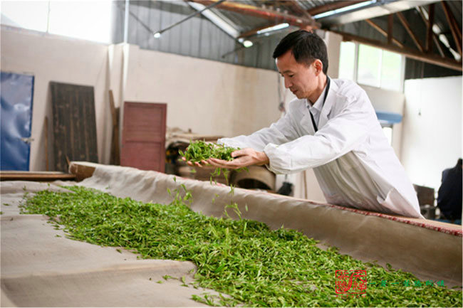 14435955022284543.jpg 14435955022284543.jpg