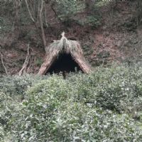 ������ϡ������̖�������_ɽ����