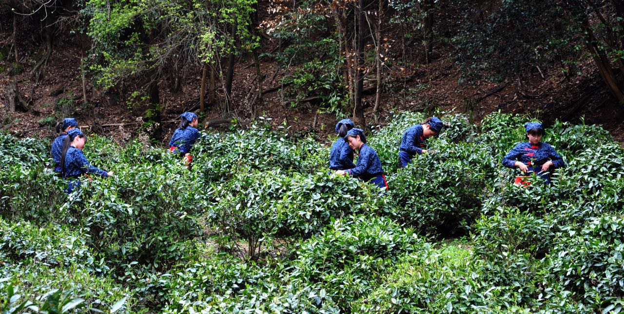 �I������I����Һ��ɹ���