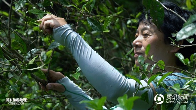 �������t�衷�����(zh��n)�Ļ�֮��