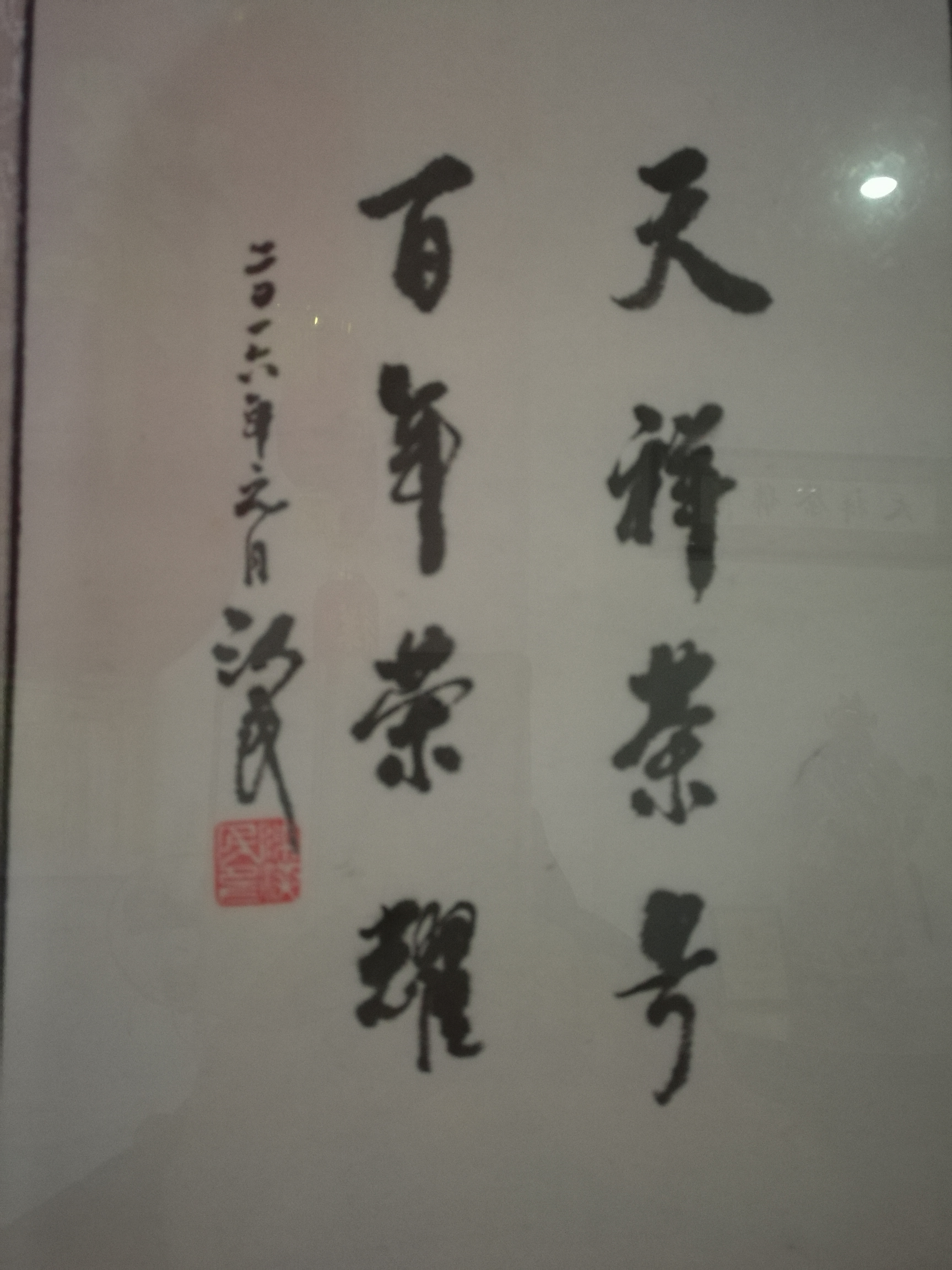 ����2020������ס������������ס�������ζ