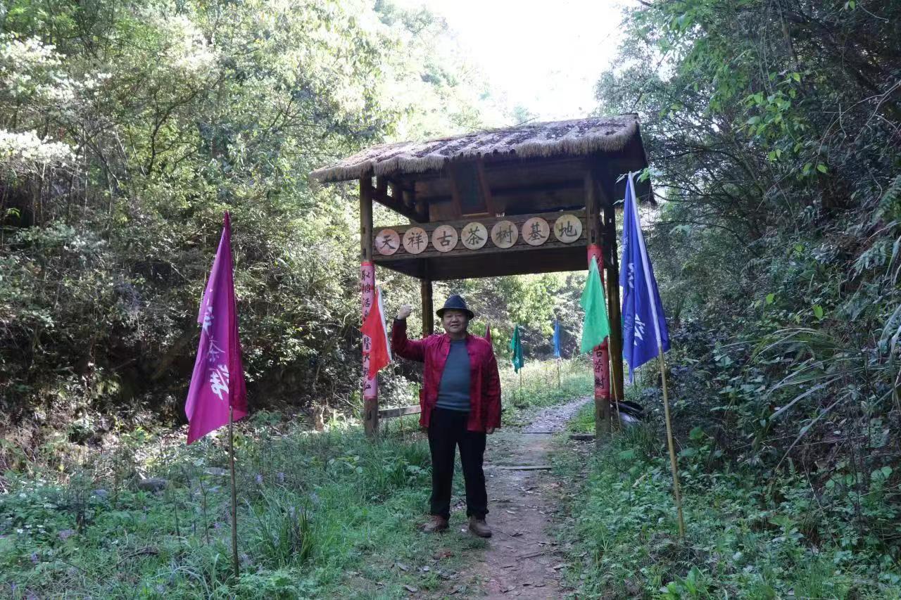 ��ҕ�l�����R�^ӛ䛰l(f��)չ 50�����zӰ�����M(j��n)�����������L(f��ng)