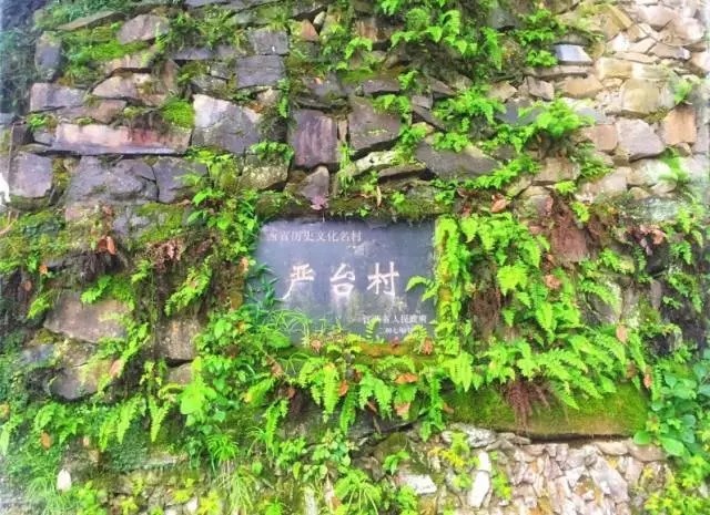 ���A����(ji��)��̖(h��o)���}�^���O(sh��)�ƽ��(hu��)  ��۾����(zh��n) ���ܴ�퍲���